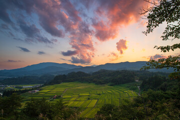 夕暮れの山形　椹平の棚田　