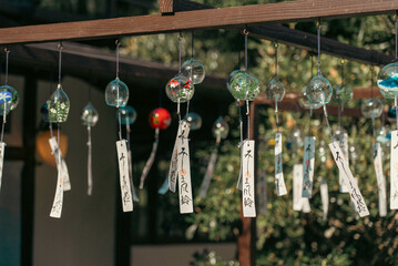 日本の夏の風物詩