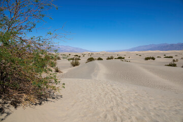 A view of the Mesquite Flat Sand Dunes in Death Valley, California. A vast desert landscape with...