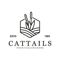 cattails plant vector template. reed grass. water plant graphic illustration.