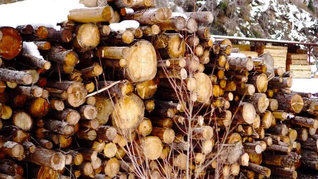 stack of firewood