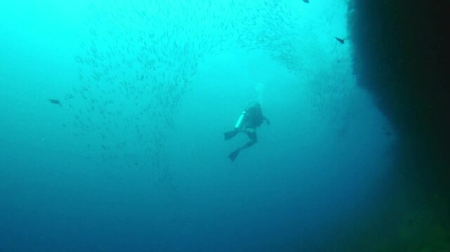 Ocean, water and diver in deep blue sea of Raja Ampat, Indonesia or underwater wildlife swimming with fishes. Person snorkeling or scuba diving with small school of fish in coral reef or undersea