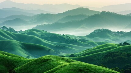 A serene landscape of rolling hills adorned with lush greenery, their silhouettes painted against the soft glow of dawn, and a thin layer of mist clinging to the valleys below