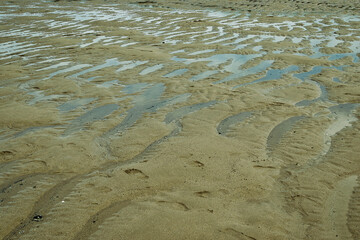 Tranquil Beach Patterns at Low Tide at Mawgan Porth Beach, Newquay, Cornwall
