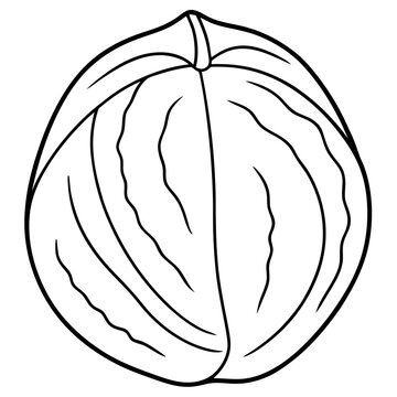 recommend clip art: walnut outline coloring book page line art drawing