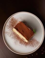 A piece of tiramisu on a white plate