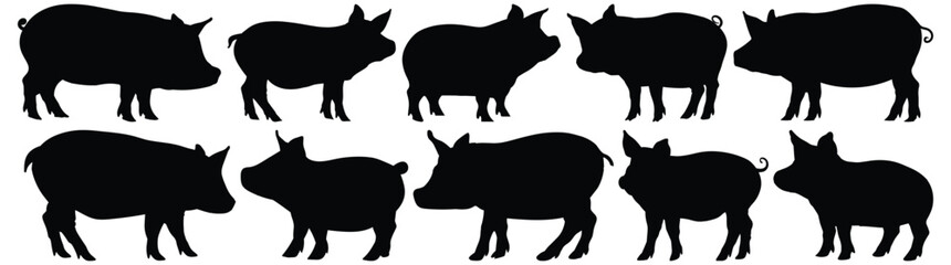 Pig silhouette set vector design big pack of animal illustration and icon