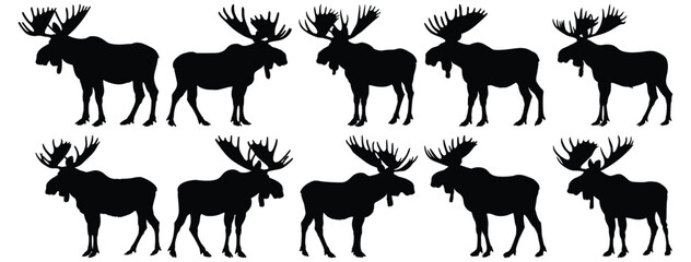 Moose silhouette set vector design big pack of animal illustration and icon