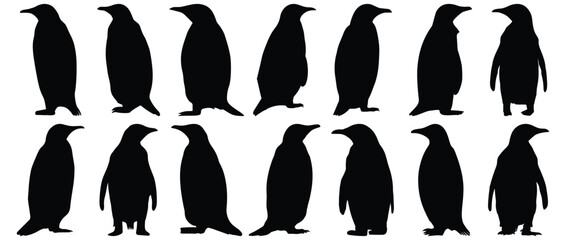 Penguin silhouette set vector design big pack of bird illustration and icon