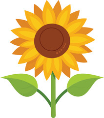 sunflower vector illustration 
