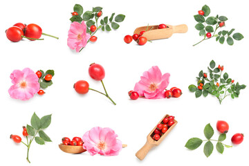 Set of rose hip berries with flowers on white background