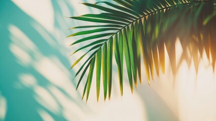 Fototapeta premium Shadows of palm leaves softly dance across a light backdrop, evoking a calm and peaceful ambiance in the environment