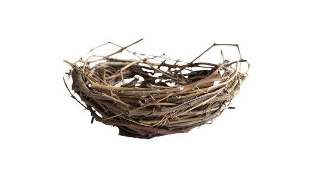 Birds nest empty on transparent background