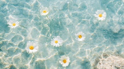 Delicate daisies rest peacefully on the clear water surface, reflecting sunlight and enhancing the tranquil beauty of the moment © tashechka