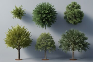 Fototapeta premium Top View 3D Illustration of Pinus Pinaster Willow and Loblolly Pine Trees for Digital Decoration