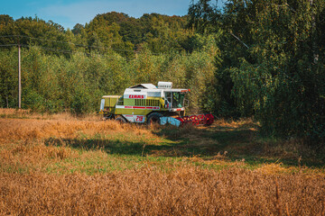 Lviv Ukraine 16.08.24 Combine harvester harvesting on sunny summer day