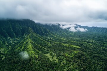 Aerial view of lush green forest and mountains under cloudy sky, Tantalus mountain peak, Hawaii, United States , ai