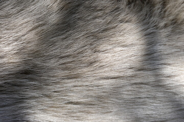 Obraz premium White fur background texture with dark black sunlight shadow.
