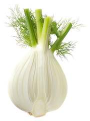 PNG Fresh fennel bulb produce plant food.