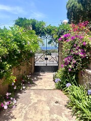 path in the garden
