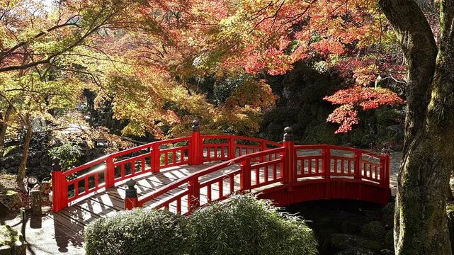 熱海梅園紅葉（Atami Plum Garden Autumn Leaves）