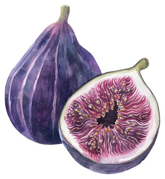 recommend clip art: PNG Fig fig produce fruit.