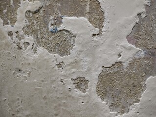 wall paint that is peeling because the wall is damp
