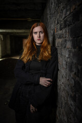 Portrait of a beautiful young red-haired girl in a studio.