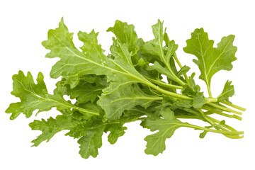 Fresh green parsley bunch, isolated on white background