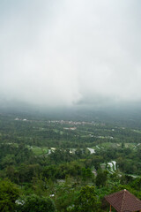 Mountain slope with tree plantation in fog