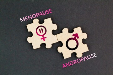 puzzle with the words menopause and andropause. the concept of women's disease. Menopause causes...