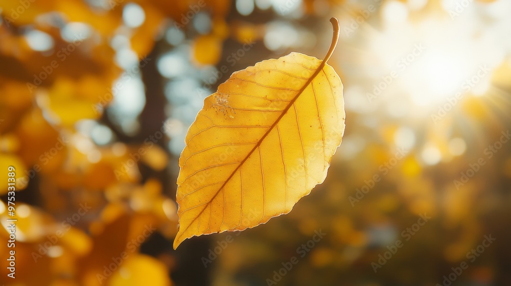 Poster close-up of yellow autumn leaf with golden bokeh background