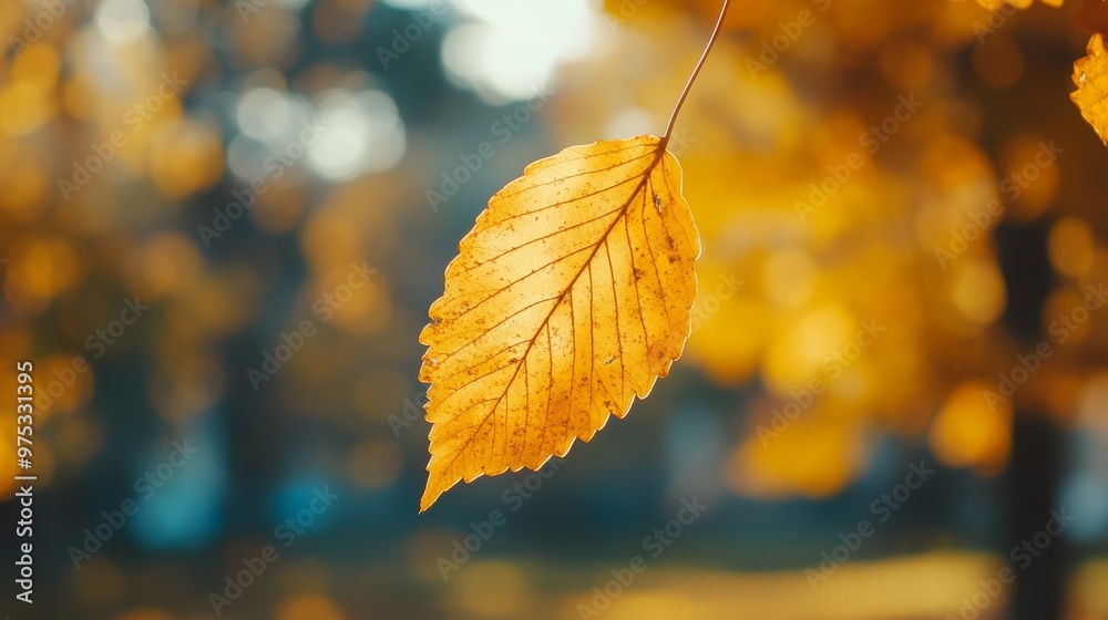Poster close-up of yellow autumn leaf with golden bokeh background