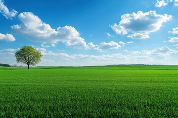 Obraz premium Green grass field lawn with tree and blue sky Green Meadows Beautiful Journey Through Nature Great as a background, web banner , ai