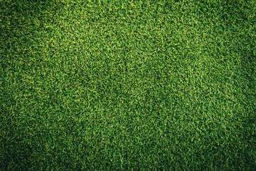 Obraz premium Green turf grass texture and background. Green grass field. Green grass for golf course, soccer, football, sport. Green grass field for golf course, soccer, football, sport , ai