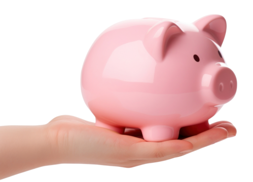 PNG Pig hand representation investment.