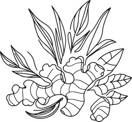 hand drawn ginger vector art	