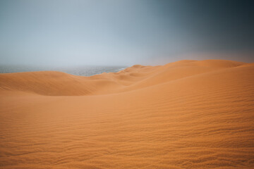 sand dunes in the desert
