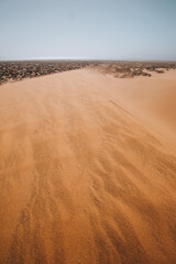sand dunes in the desert