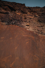 hieroglyphs in the desert