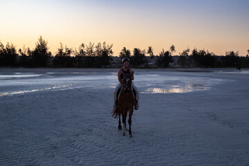 woman with horse