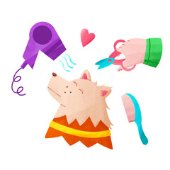 Dog grooming with comb scissors and hair dryer