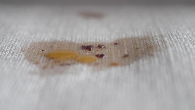 A CloseUp Detailed Image Showcasing a Stain on a Fabric Surface for Artists and Designers