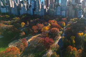 Autumn Fall. Autumnal Central Park view from drone. Aerial of NY City Manhattan Central Park...