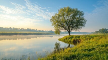 A lone tree stands on the bank of a calm river at dawn, with a misty haze over the water and a clear blue sky above.