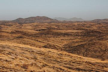 landscape of the desert