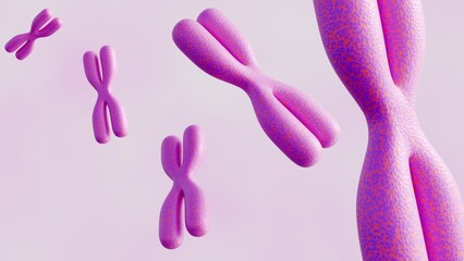 3d rendering of  pink XX chromosomes in the image visually represent the genetic material associated with female biological sex