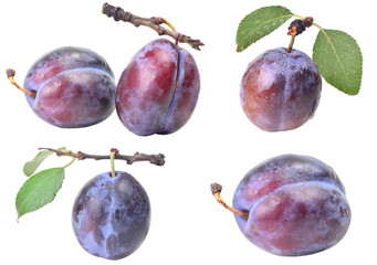 Plums with leaves isolated