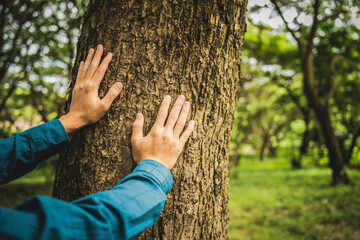 A man's hands gently touch the rough bark of a towering tree, symbolizing a deep connection with nature. In the forest, he embraces the importance of environmental care and protecting the planet.