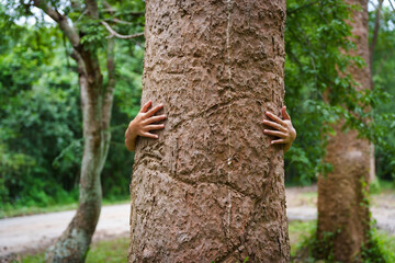 Forest conservationist gentle hugs tree in sunny park, deep care and respect for nature. Their hands embrace the trunk, reflecting commitment to environmental protection and sustainable ecosystems.
